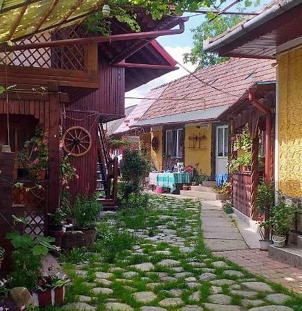 Casa Boierului Imbri Villa Cîrţişoara Dış mekan fotoğraf