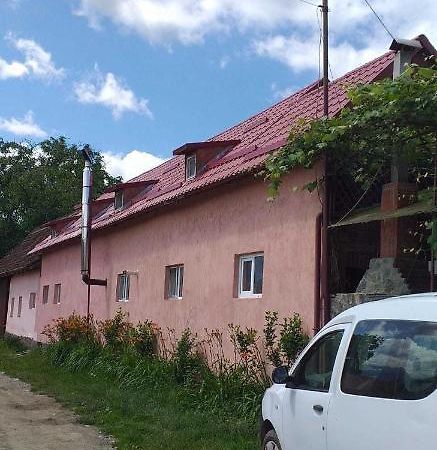 Casa Boierului Imbri Villa Cîrţişoara Dış mekan fotoğraf