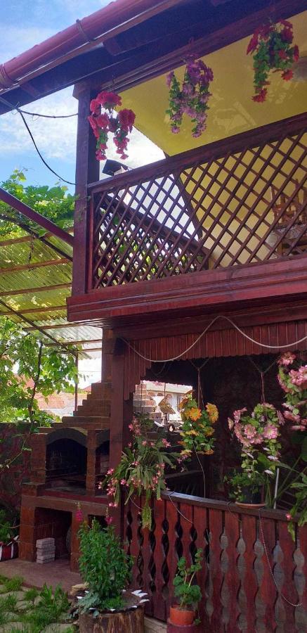 Casa Boierului Imbri Villa Cîrţişoara Dış mekan fotoğraf