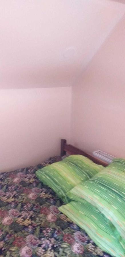Casa Boierului Imbri Villa Cîrţişoara Dış mekan fotoğraf