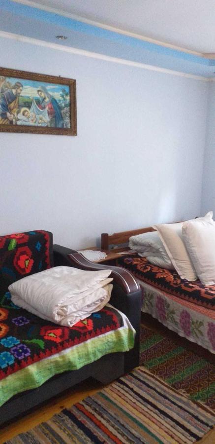 Casa Boierului Imbri Villa Cîrţişoara Dış mekan fotoğraf