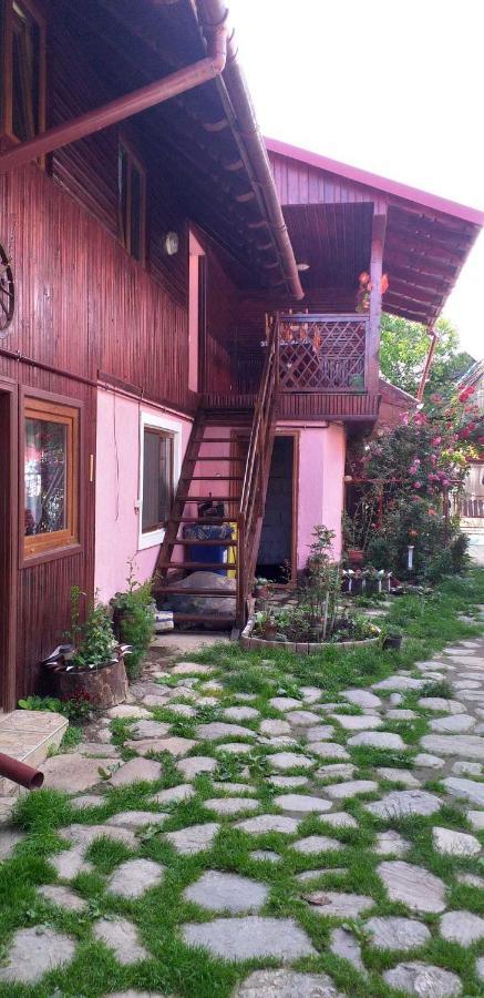 Casa Boierului Imbri Villa Cîrţişoara Dış mekan fotoğraf