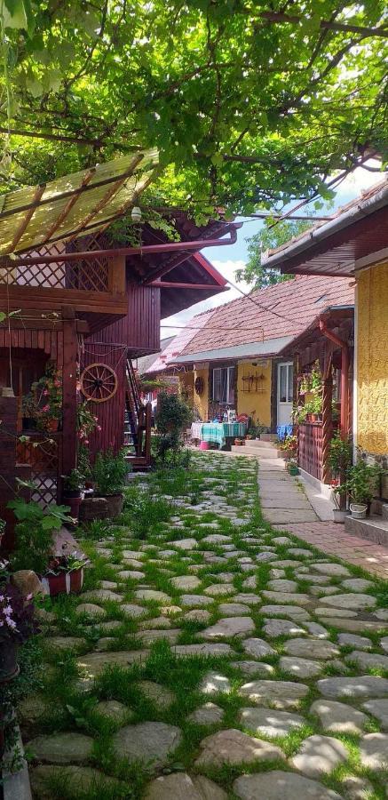 Casa Boierului Imbri Villa Cîrţişoara Dış mekan fotoğraf