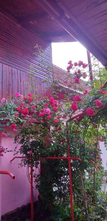 Casa Boierului Imbri Villa Cîrţişoara Dış mekan fotoğraf