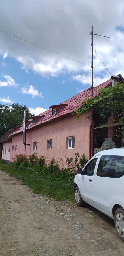 Casa Boierului Imbri Villa Cîrţişoara Dış mekan fotoğraf