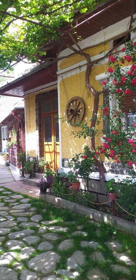 Casa Boierului Imbri Villa Cîrţişoara Dış mekan fotoğraf