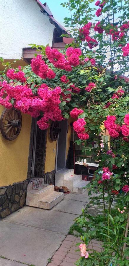 Casa Boierului Imbri Villa Cîrţişoara Dış mekan fotoğraf